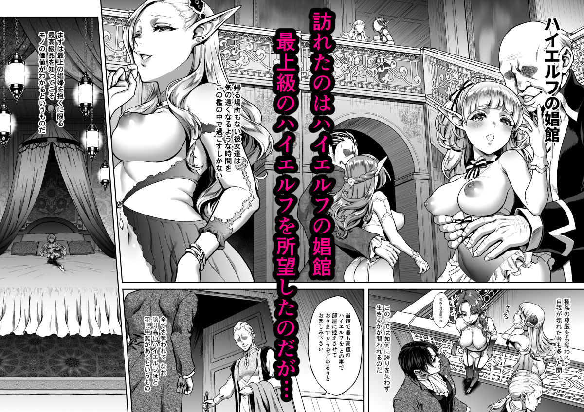 ハイエルフの娼館が舞台の同人誌